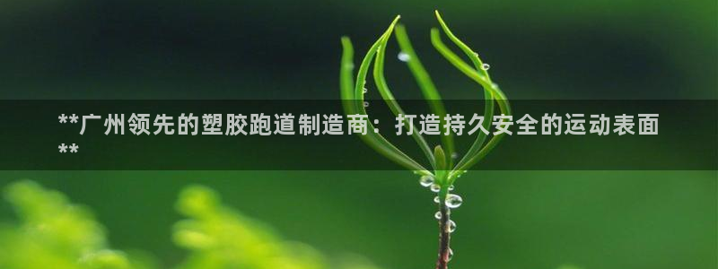谈球吧官网入口：**广州领先的塑胶跑道制造商：打造持