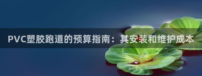 谈球吧在线登陆：PVC塑胶跑道的预算指南：其安装和维