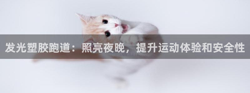 谈球吧官网在线入口免费观看视频下载：发光塑胶跑道：照