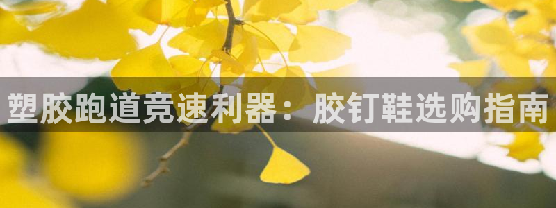 谈球吧app靠谱吗：塑胶跑道竞速利器：胶钉鞋选购指南