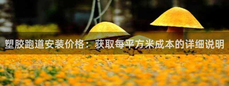 谈球吧app赛事分析报告：塑胶跑道安装价格：获取每平方米成本的详细说明