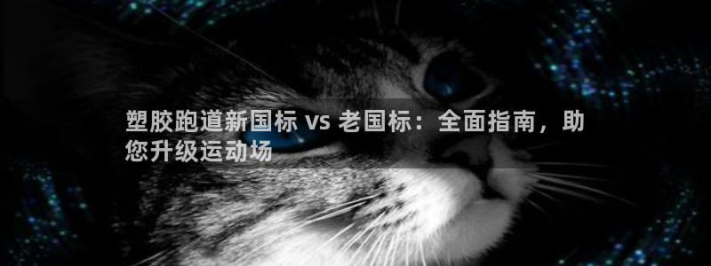 谈球吧官网app下载：塑胶跑道新国标 vs 老国标：全面指南，助
您升级运动场