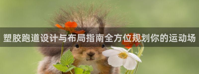 谈球吧首充金额截图：塑胶跑道设计与布局指南全方位规划你的运动场