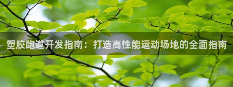 谈球吧在线：塑胶跑道开发指南：打造高性能运动场地的全