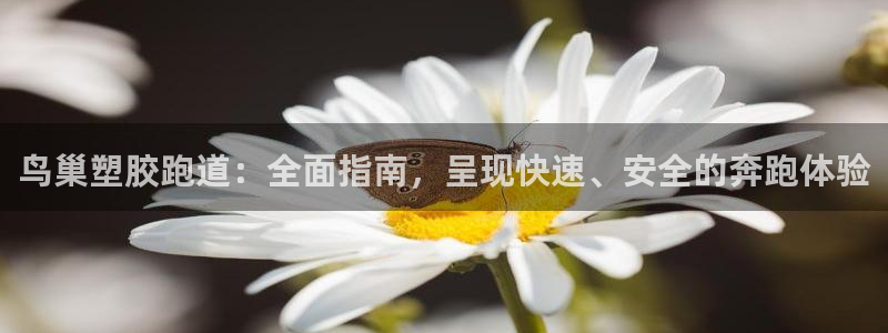 谈球吧官网在线入口免费观看视频网站