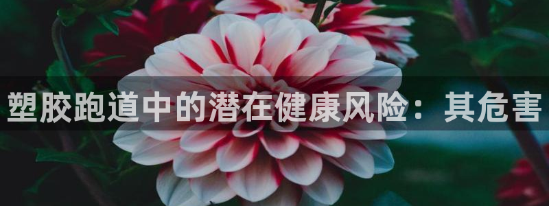 谈球吧是黑台子吗还是白台子：塑胶跑道中的潜在健康风险