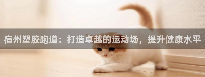 谈球吧登录网：宿州塑胶跑道：打造卓越的运动场，提升健