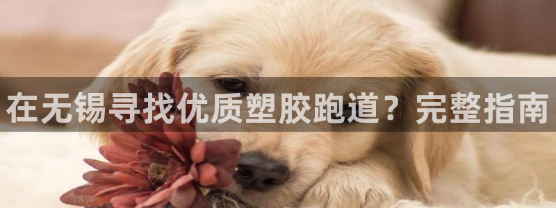 谈球吧是黑台子吗知乎：在无锡寻找优质塑胶跑道？完整指