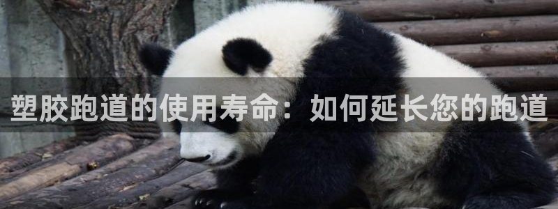 谈球吧咋样