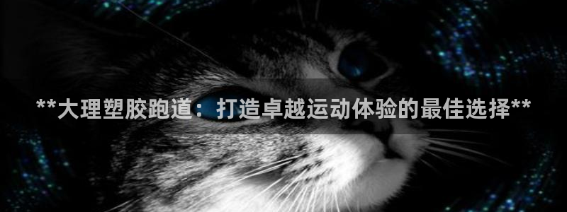谈球吧娱乐app下载官网苹果手机：**大理塑胶跑道：