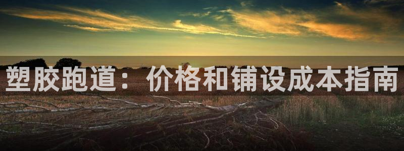 谈球吧体育app下载足球比赛