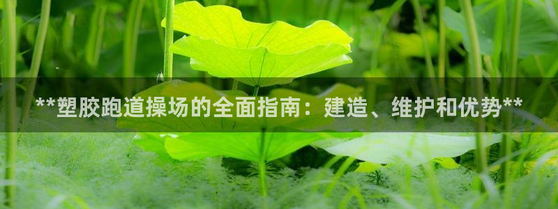谈球吧官网在线入口网址：**塑胶跑道操场的全面指南：建造、维