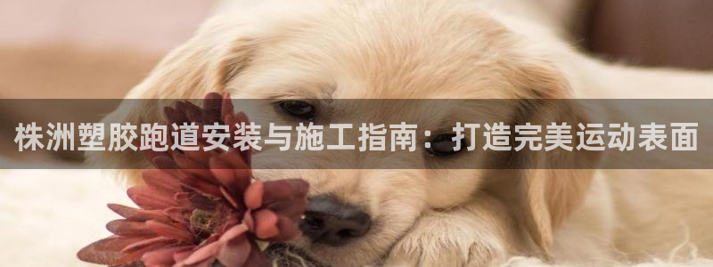 谈球吧平台正规吗可靠吗知乎：株洲塑胶跑道安装与施工指