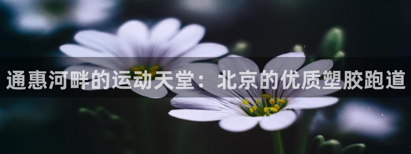 谈球吧官网app下载