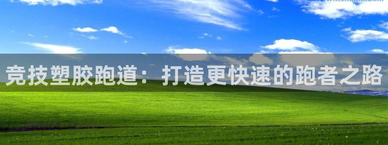 谈球吧官网在线入口免费观看高清：竞技塑胶跑道：打造更快速的跑