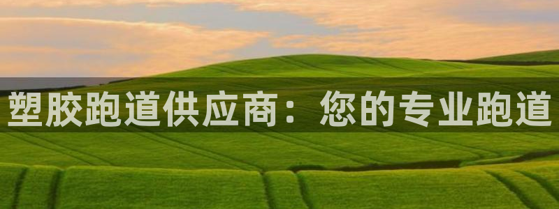 谈球吧体育app下载官网：塑胶跑道供应商：您的专业跑