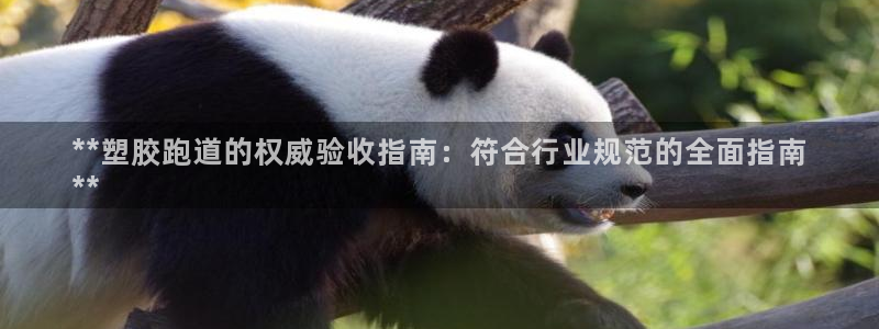 谈球吧算违法行为吗：**塑胶跑道的权威验收指南：符合行业规范