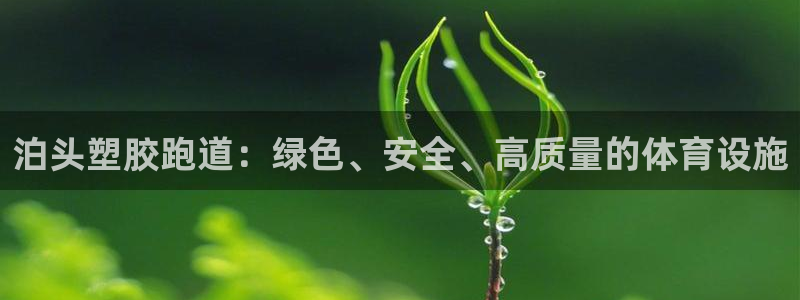 谈球吧平台app下载网址是多少：泊头塑胶跑道：绿色、安全、高