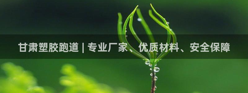 谈球吧体育app下载官网手机版：甘肃塑胶跑道 | 专业厂家、优质材料、安全保障
