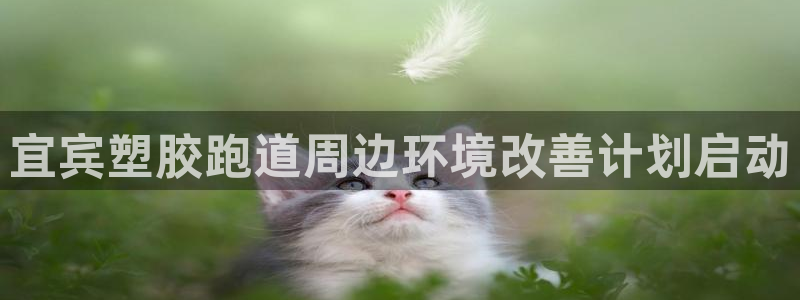 谈球吧体育app下载足球直播软件