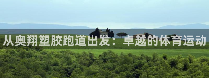 谈球吧体育app下载