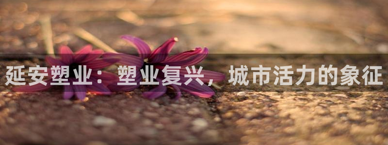 谈球吧体育app登陆