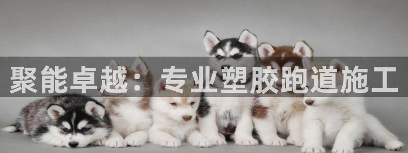 谈球吧入口
