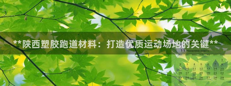 谈球吧官网在线入口：**陕西塑胶跑道材料：打造优质运动场地的