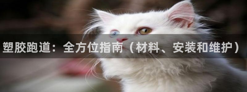 谈球吧官网在线入口手机版下载：塑胶跑道：全方位指南（材料、安