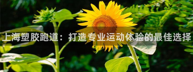 谈球吧app体育下载官网：上海塑胶跑道：打造专业运动体验的最