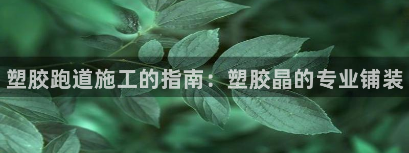 谈球吧登录：塑胶跑道施工的指南：塑胶晶的专业铺装