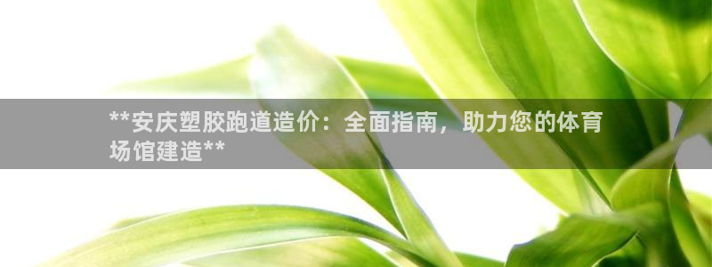 谈球吧不出款：**安庆塑胶跑道造价：全面指南，助力您