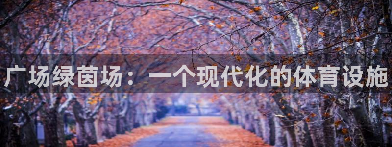 谈球吧的聊天软件下载