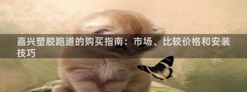 谈球吧体育app下载足球直播软件：嘉兴塑胶跑道的购买指南：市