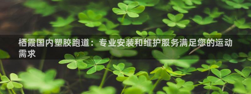 谈球吧平台黑吗?：栖霞国内塑胶跑道：专业安装和维护服