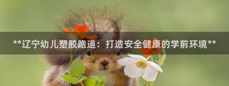 谈球吧体育app下载：**辽宁幼儿塑胶跑道：打造安全健康的学