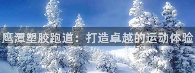 谈球吧网站：鹰潭塑胶跑道：打造卓越的运动体验