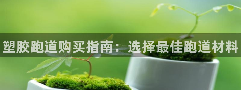 谈球吧体育app下载足球直播：塑胶跑道购买指南：选择最佳跑道材料