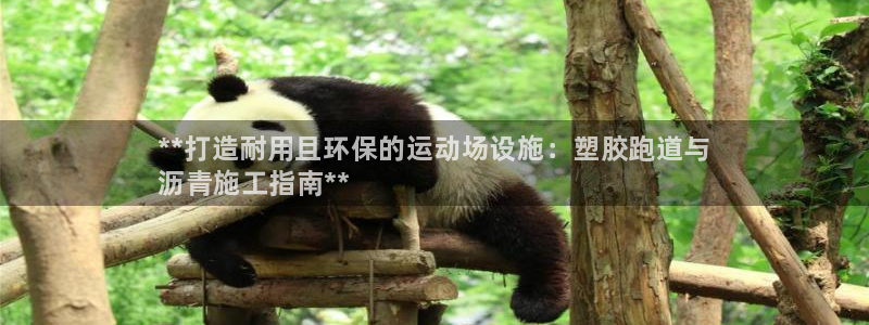 谈球吧网页登陆