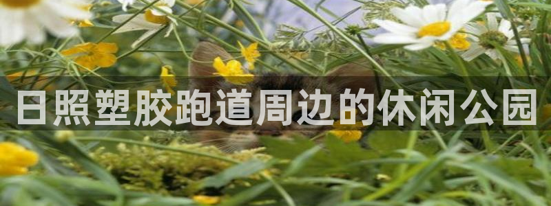 谈球吧体育app下载中心在哪找：日照塑胶跑道周边的休闲公园