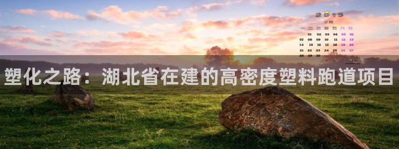 谈球吧体育app官网下载安卓：塑化之路：湖北省在建的