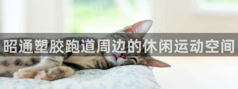 谈球吧是黑台子吗知乎：昭通塑胶跑道周边的休闲运动空间