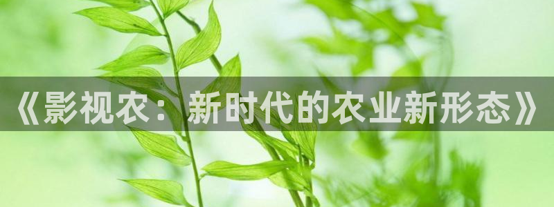 驰策驰影院电视剧免费