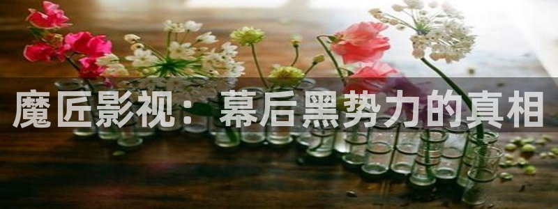 策驰策影院
