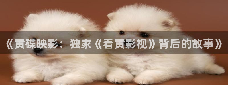 驰策影视首页