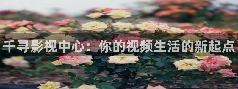 驰策影院