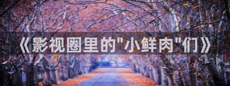 驰策影视首页